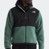 The North Face RETRO DENALI(Northface Mens Retro Denali_duck Green) -Sporty Fashion 01 tnf 0022 NF0A88XHHCH HERO