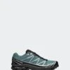 XT-6 GTX(Salomon Unisex Xt 6 Gtx_north Atlantic Black Ftw Silver)