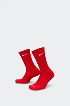 EVERYDAY PLUS CUSHIONED(Nike Equipment Everyday Plus Cushioned Sx6888_multi Color)