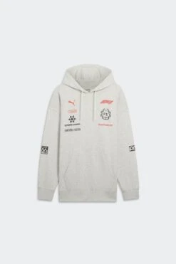 F1 RACING HOODIE(Puma Mens F1 Racing Hoodie_gray)