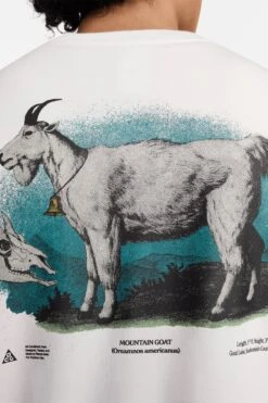 ACG TEE(Nike Mens Acg Tee Fv3492_summit White) -Sporty Fashion Untitled 1 0003 AURORA FV3492 121 PHSYM002 2000