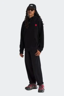 The North Face MOUNTAIN JACKET HOODIE(Northface Mens Mountain Jacket Hoodie_tnf Black) -Sporty Fashion app 0011 NF0A8BXXJK3 in TNF Black png