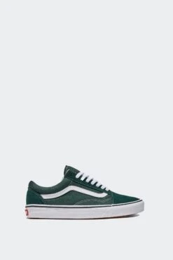 OLD SKOOL(Vans Unisex Old Skool_scarab)