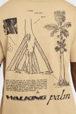 ACG TEE(Nike Mens Acg Walking Tree_parachute Beige) -Sporty Fashion nike 0010 AURORA HJ0796 297 PHSYM004 2000