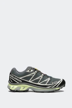XT-6 GTX(Salomon Unisex Xt 6 Gtx_urban Chic Black Lime Cream)