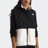 The North Face RETRO DENALI VEST(Northface Mens Retro Denali Vest_white Dune Tnf Black) 2 The North Face RETRO DENALI VEST(Northface Mens Retro Denali Vest_white Dune Tnf Black) -Sporty Fashion tnf 0010 NF0A88XJROU in White DuneTNF Black png