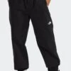 The North Face EASY WIND PANT(Northface Mens Easy Wind Pant_tnf Black)