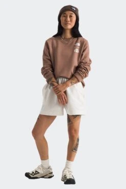 The North Face W OUTDOOR GRAPHIC CREW(Northface Womens Outdoor Graphic Crew_latte)